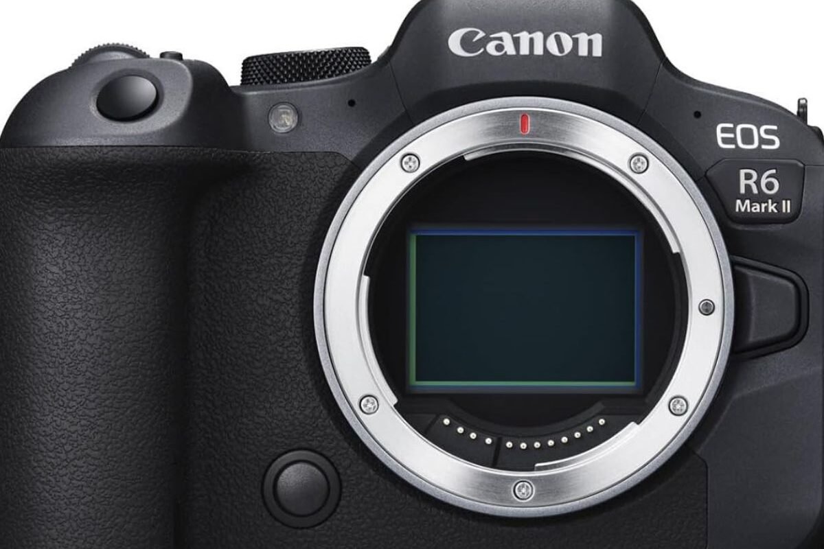 Canon EOS R6 Mark II Review