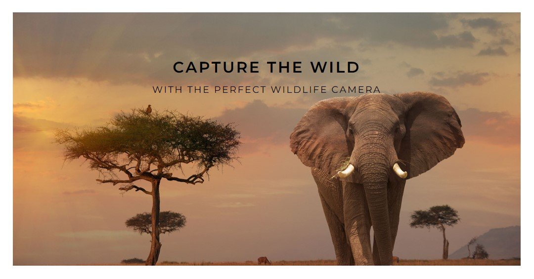 Canon Wildlife Camera